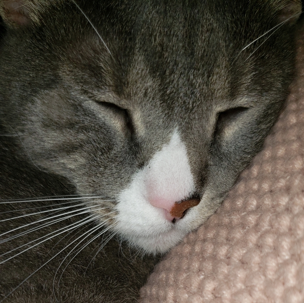 Meet your Posher, Mary